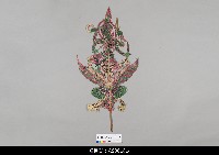 藏品(泰國小檯皮影戲偶)的圖片